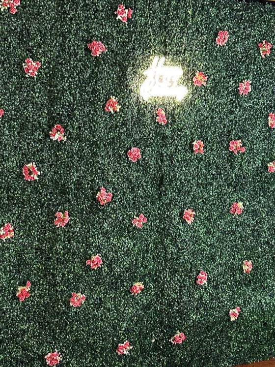 Greenery Wall Backdrop for Mirror Booth Rentals in Southern Tier NY