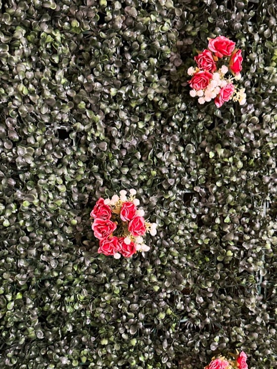 MJ's Greenery Wall for Mirror Booth and Photo Booth Rentals in Southern Tier NY