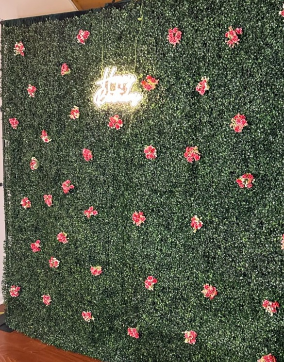 Premium Greenery Wall for Mirror Selfie Booth in Southern Tier NY