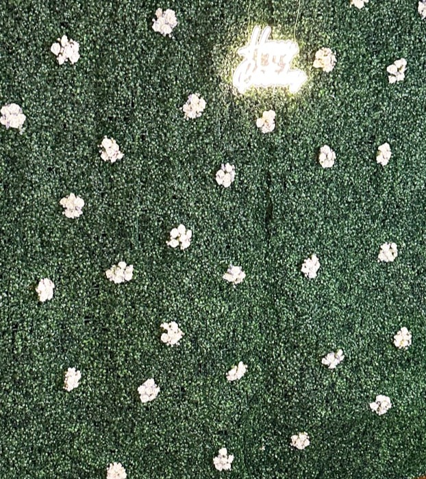 Greenery Wall Backdrop for Wedding Events in Southern Tier NY