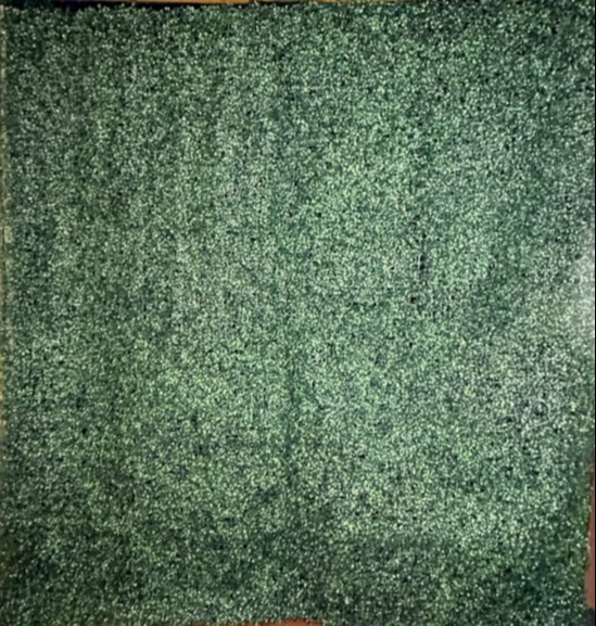 Premium Greenery Wall for Mirror Selfie Booth Rental in Southern Tier NY