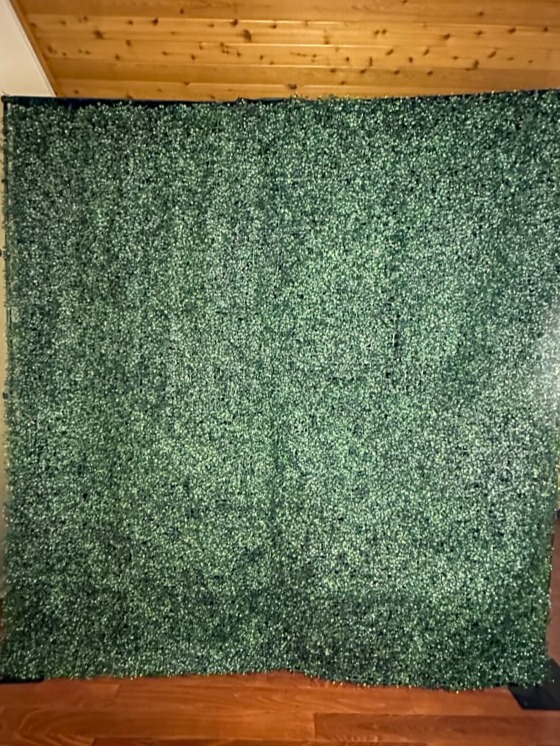 Greenery Wall Backdrop for Mirror Selfie Booth Rental in Southern Tier NY