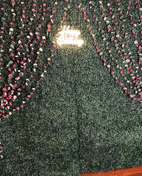 Premium Greenery Wall for Mirror Selfie Booth in Southern Tier NY